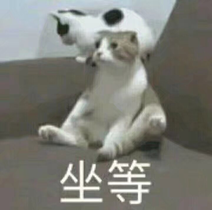 我是小猫咪 我坐等朱志鑫解约单飞朱志鑫解约传闻