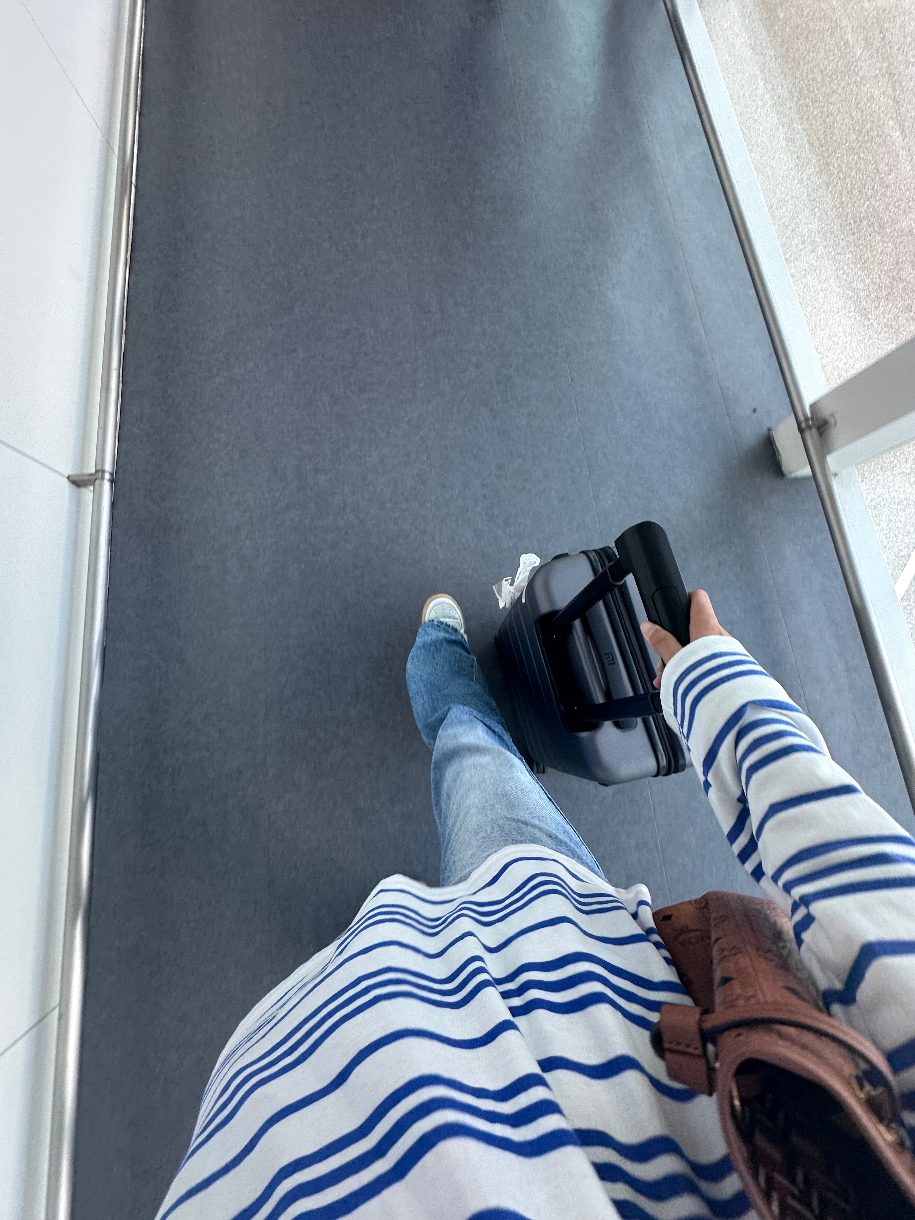 肉丸日记📔 飞飞飞飞到厌倦～ ​​​