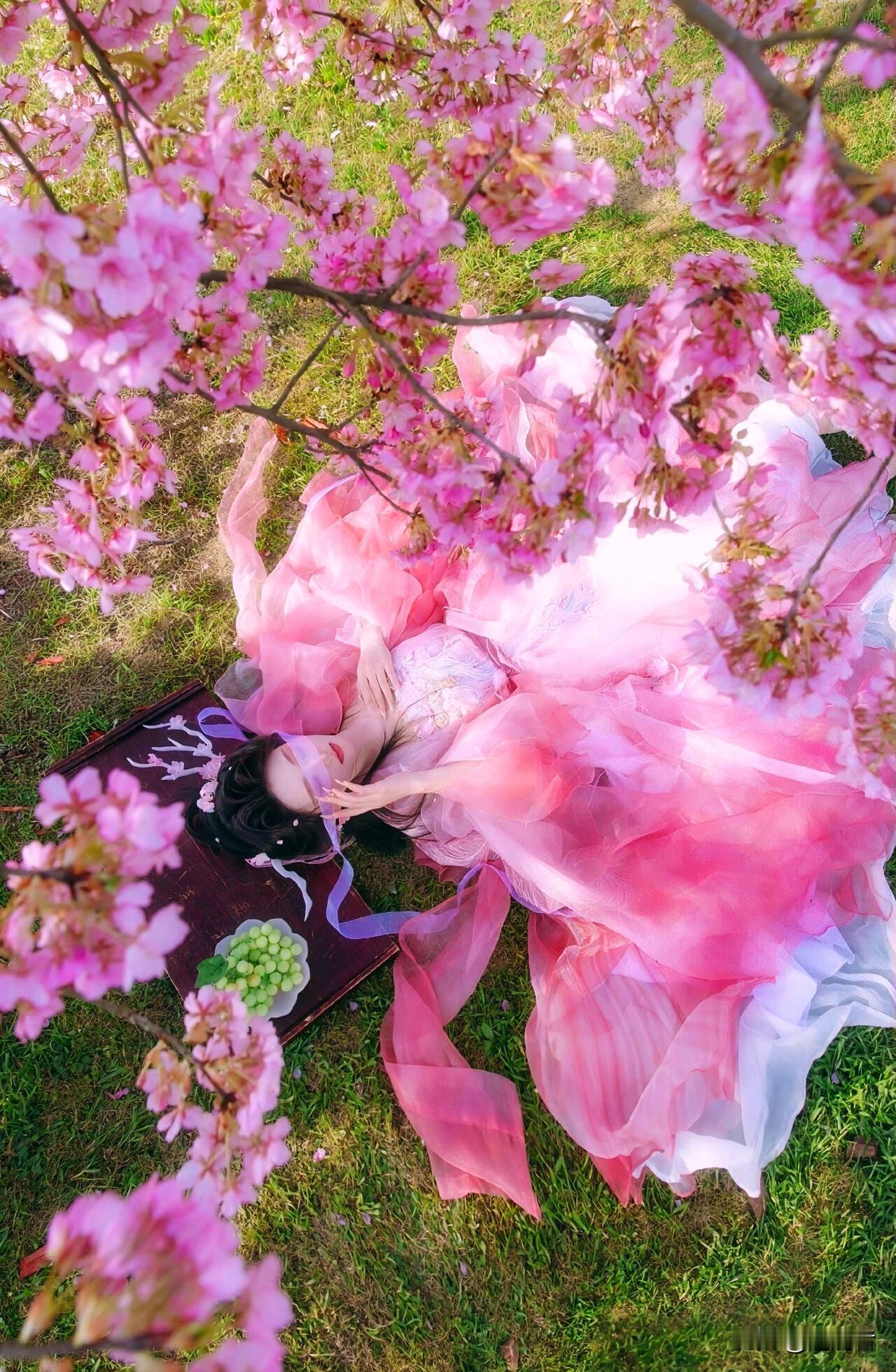 樱风拂过枝头，粉裙漫过春光。层层叠叠的纱裙晕染出樱色的温柔，鬓边的花饰与漫天繁花