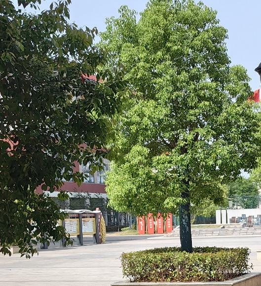 你看好法国队还是阿根廷队阿根廷队屡次反败为胜，看来阿根廷夺冠的希望更大一点，说不