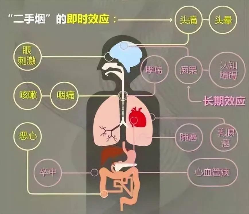 我认为应该，二手烟对人类危害极大。高铁站台属于公共区域，婴儿、孕妇及儿童等免疫力