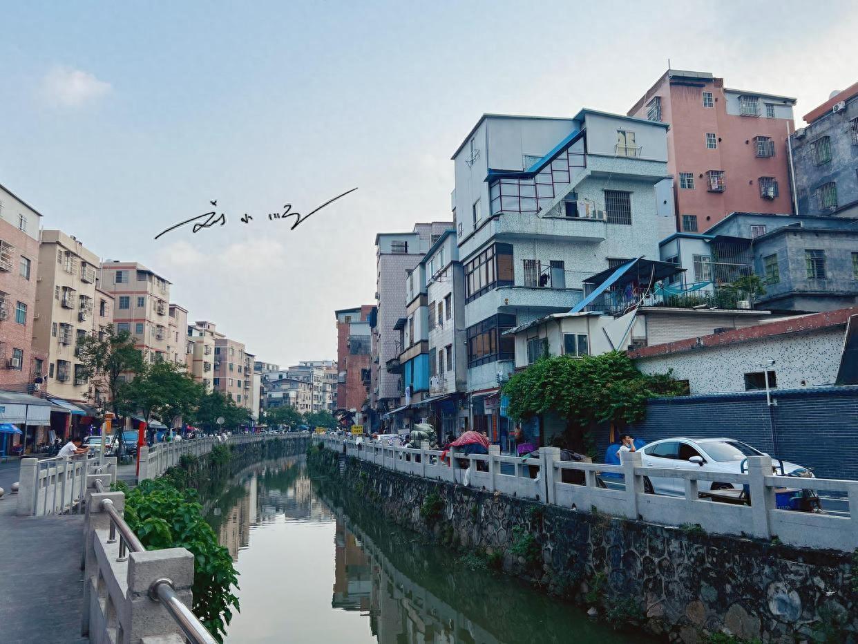 广州市海珠区的大塘村，距离广州塔仅2公里，抬头可见“小蛮腰”，低头却是满街湖北元
