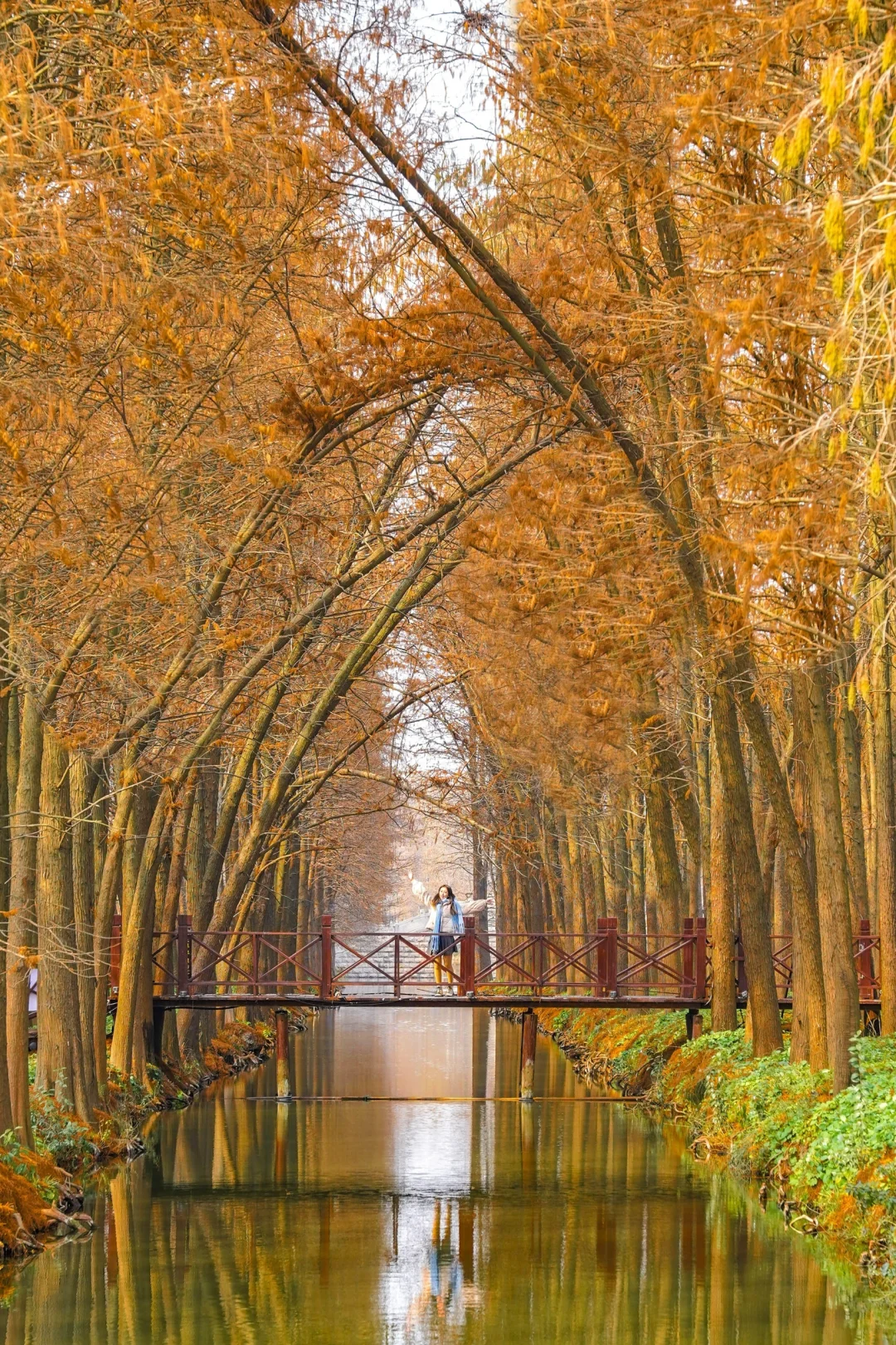 江苏严重被低估的城市，美得宛如童话……