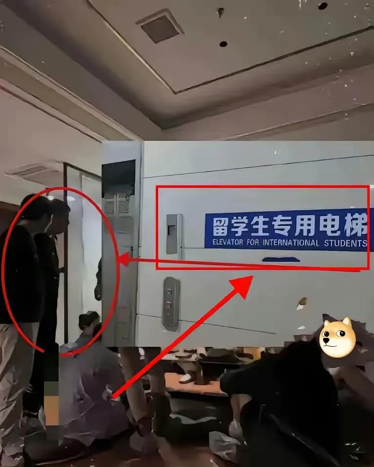 为什么要设立专用电梯呢？
