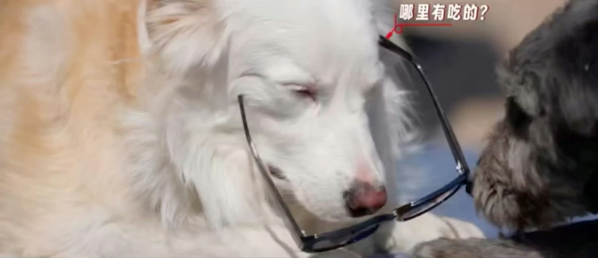 小阿zan  azan联名🧋冲呀 