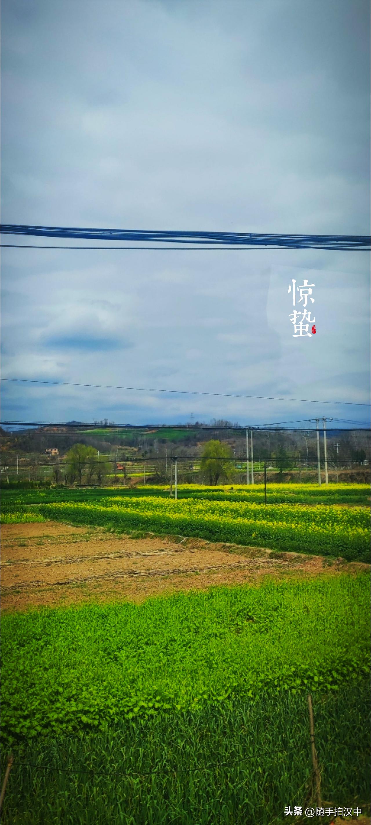 天南地北大拜年昨日还开玩笑：“这春天比冬天还冷不少。”今日就是惊蛰。油菜黄，桃花