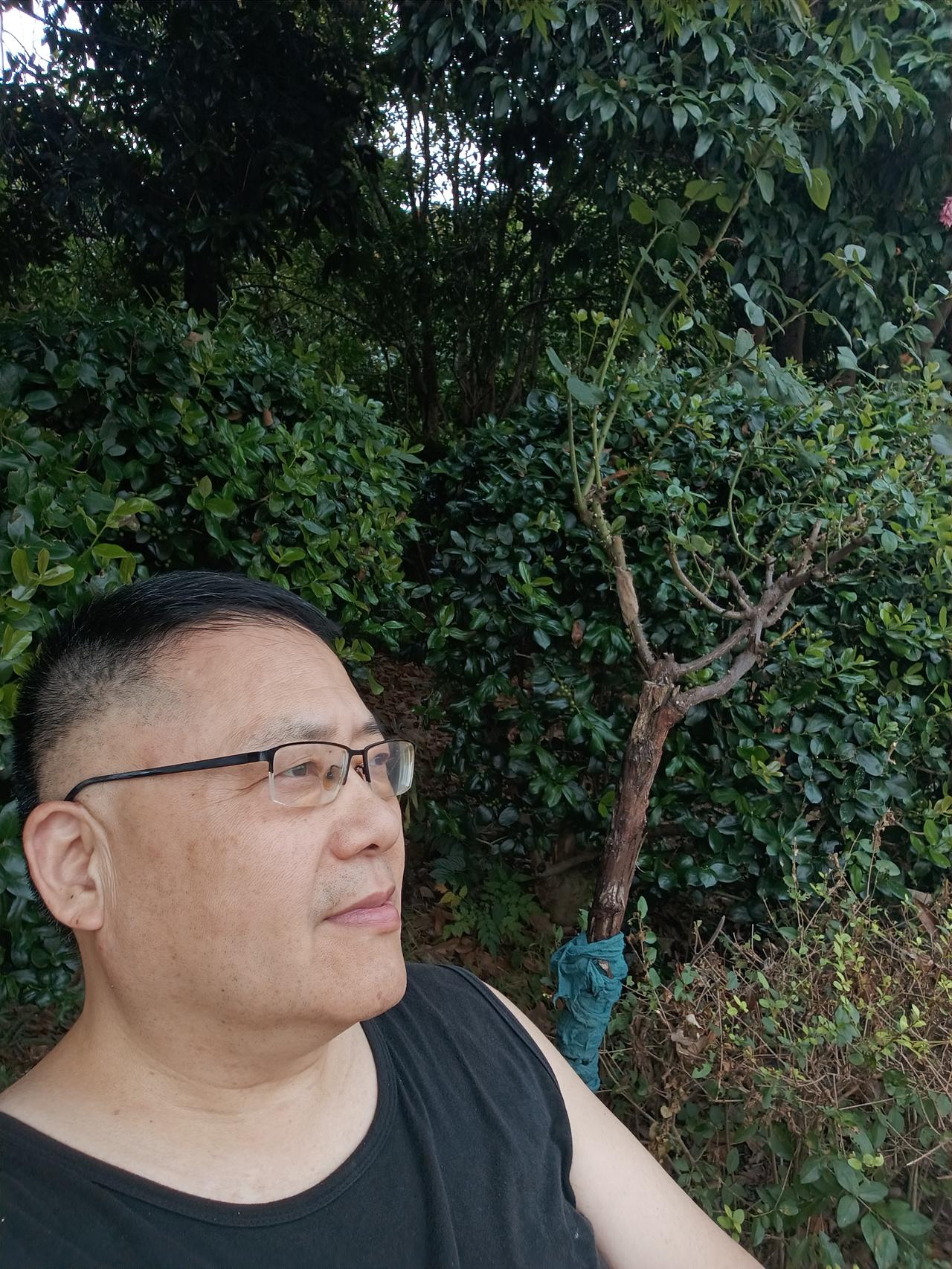 妈呀，我太能睡了，一睁眼太阳都晒到家里房间里了。

一看，是早上7:10。

昨
