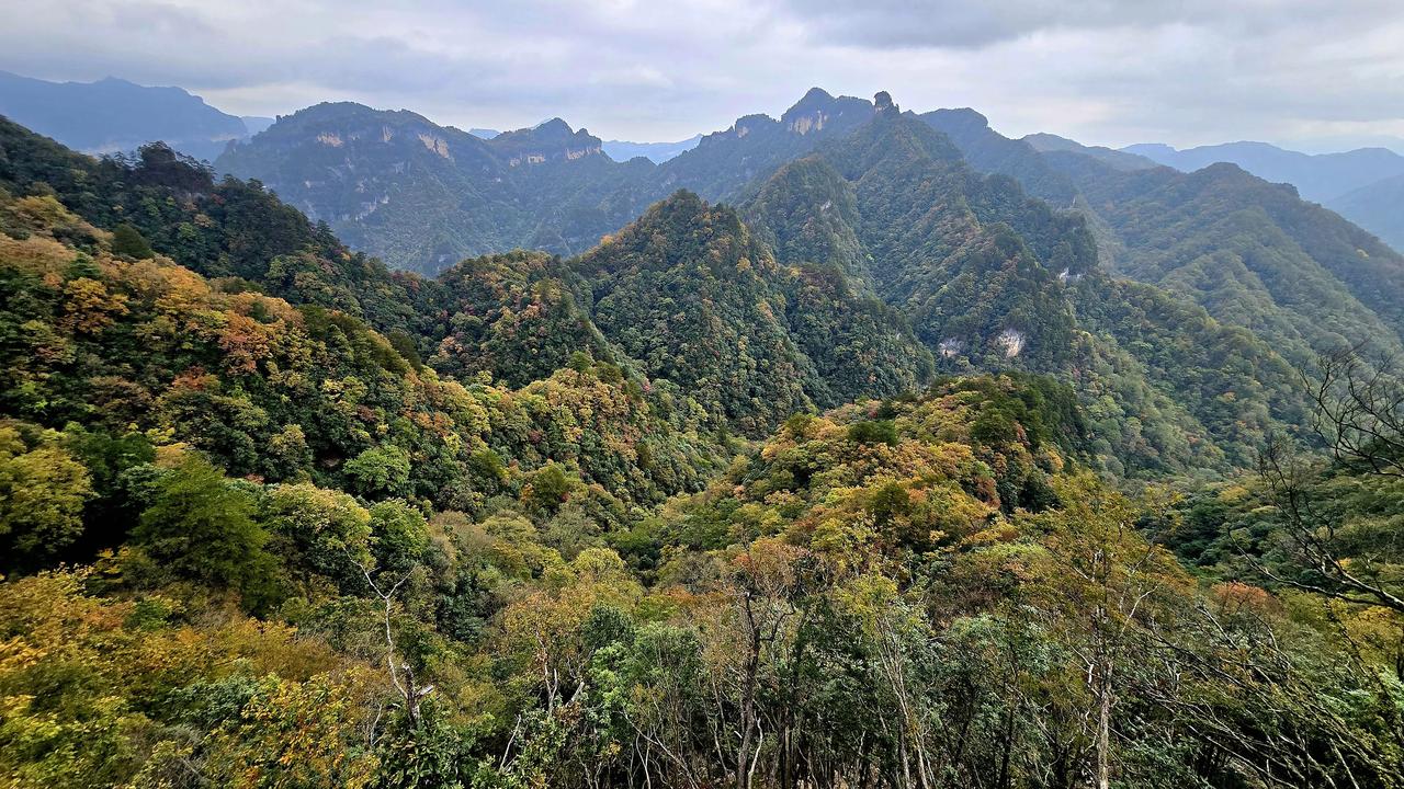 《初上光雾山而叹的经历》
      霜降过后，确实“露凝而白,气始寒也”。
 