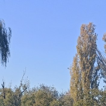 每日一善[超话]你若向阳，花自盛开；你若善良，天自温柔。人生的美好，从来不是偶然