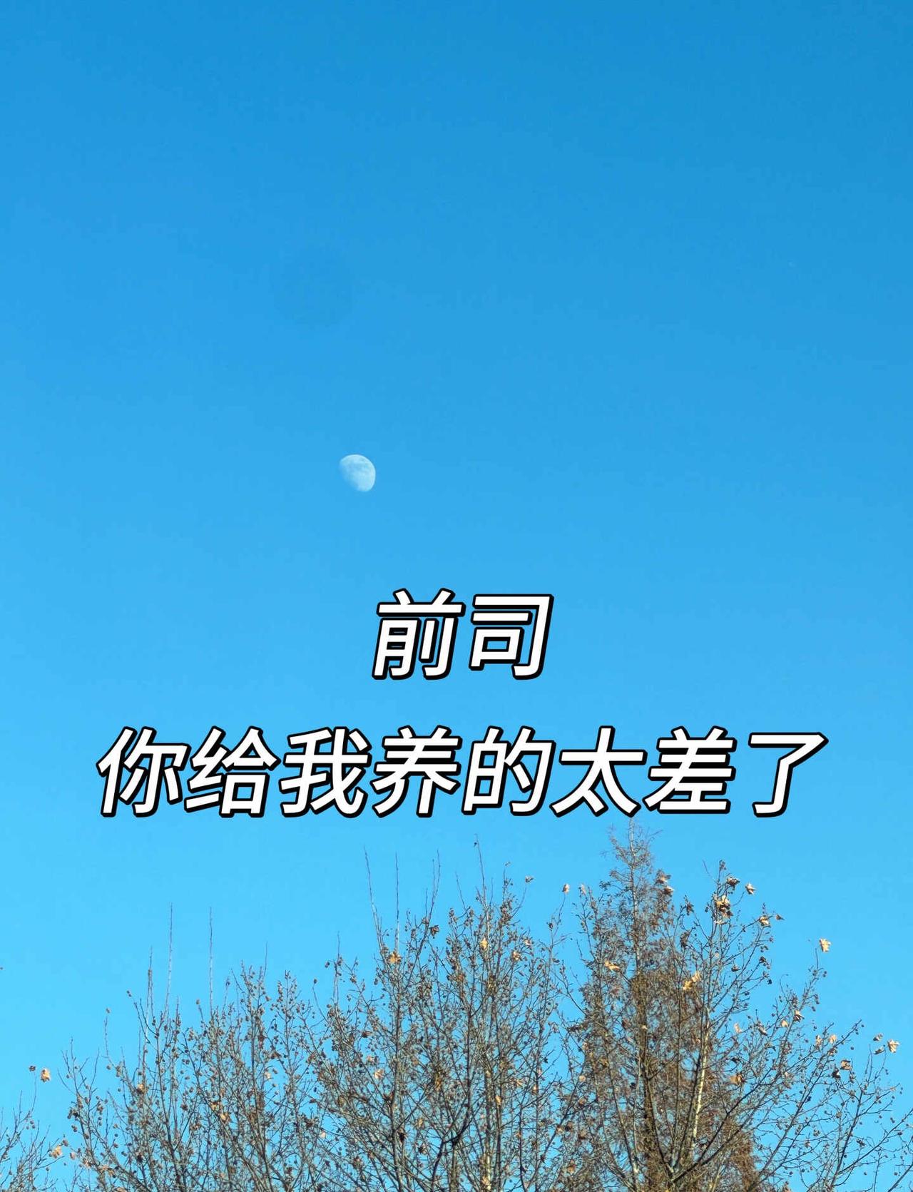 离职一年，回想这一年，会感慨：
遇到一个糟糕的公司，真的会比“原生家庭”带来的痛