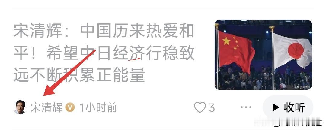 这位姓宋的所谓经济学者，每天都在发表向日本表忠心 向日本表和平，更多是在劝告中国