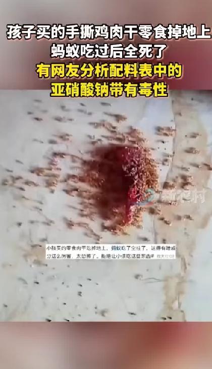 小孩零食掉地上，蚂蚁吃了集体身亡！太吓人了！
事情是这样的：一个小孩吃那种手撕肉
