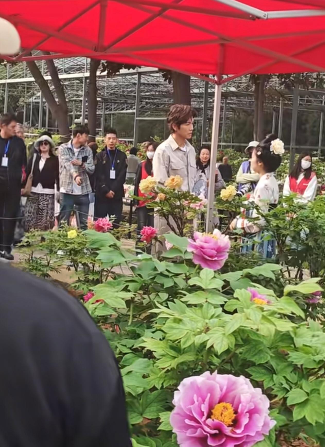 去洛阳看牡丹，居然偶遇了钟汉良本人！
        真人比电视上帅太多，完全看