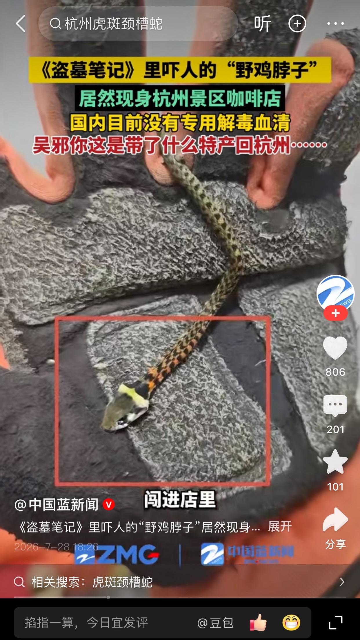 野鸡脖子”这怕不是吴邪，带来的吧，有可能是王胖子带来的特产，