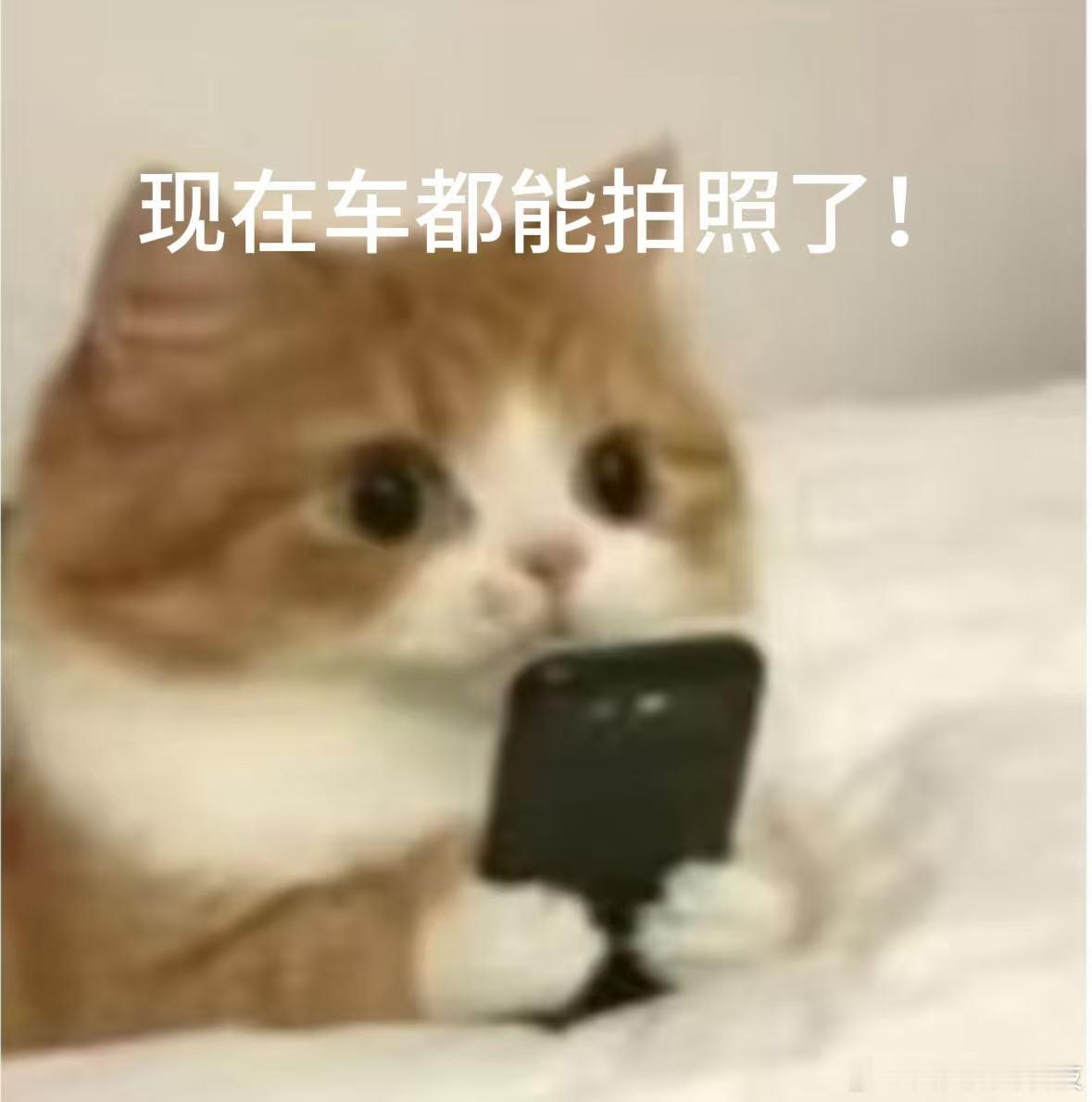 享界S9T旅拍模式实测 我单方面宣布旅拍功能是享界S9T最最成功的设计！它直接把