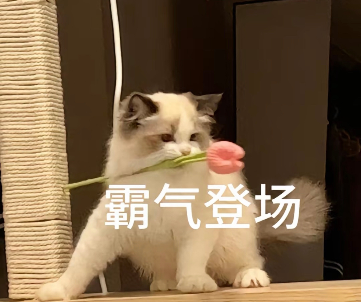 早上好家人们～今天星期四明天星期五，再坚持一天然后星期天卷妹的唠嗑早安