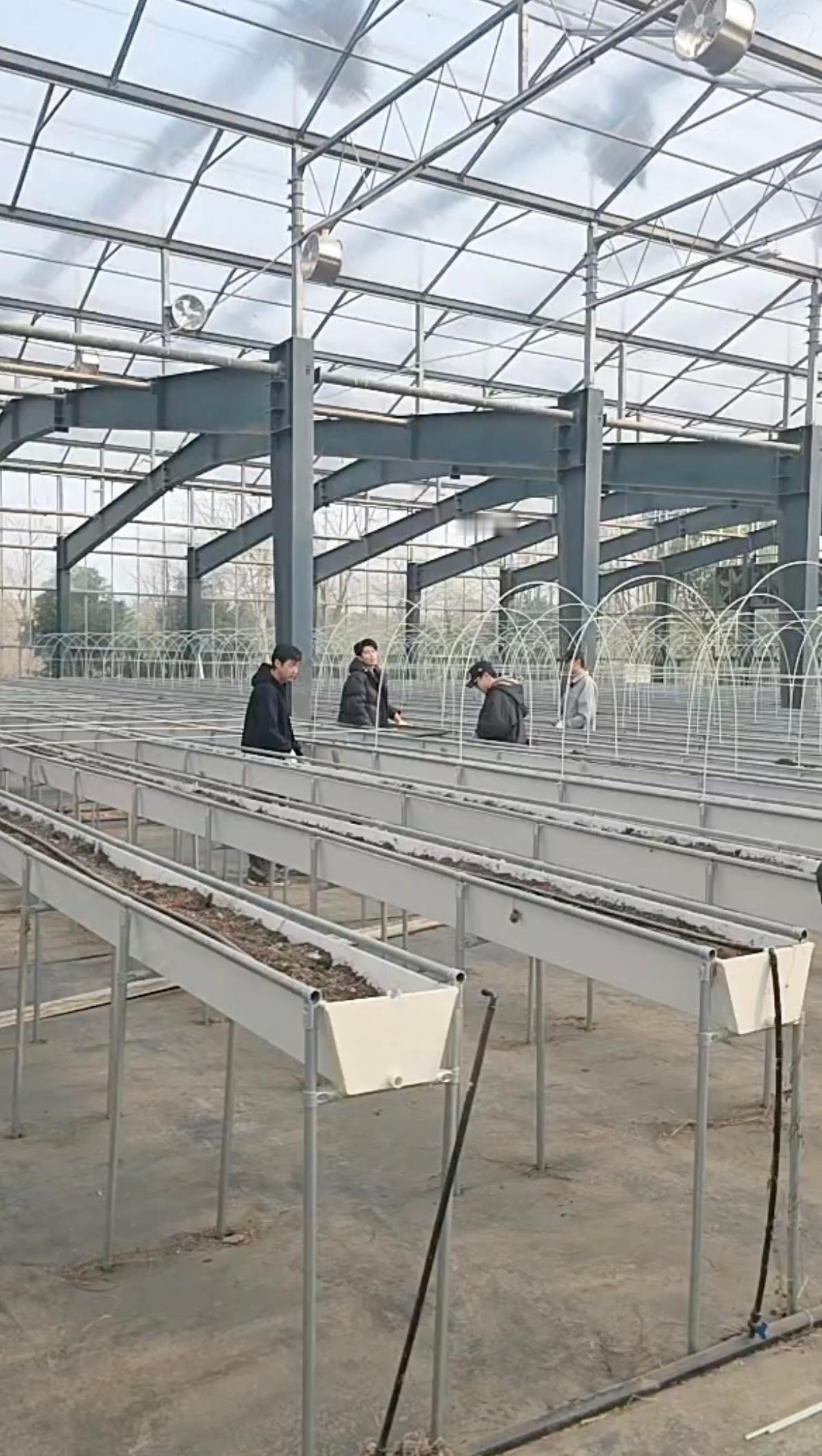种地吧直播  2.6外出考察，7890留守，继续搭建架子～ 