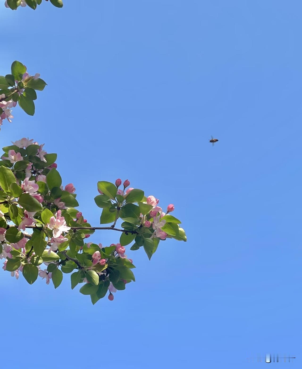 想要心情常快乐，
别纠结琐事，
不与人攀比。
 
饿了吃，困了睡，
多出门走动。