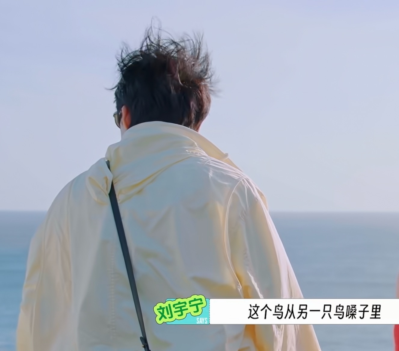 这个鸟从另一个鸟的嗓子里 掏了一条鱼出来。哈哈哈哈哈哈哈哈哈哈哈哈哈哈哈头发炸毛
