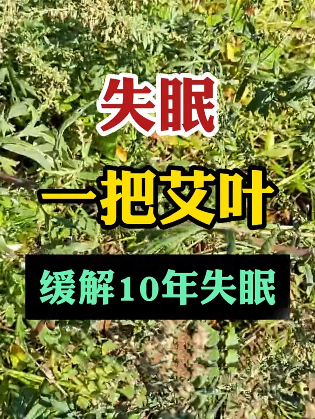 抑郁症，艾叶缓解10年失眠！ 在探寻治liao失mian的历程中，我深...