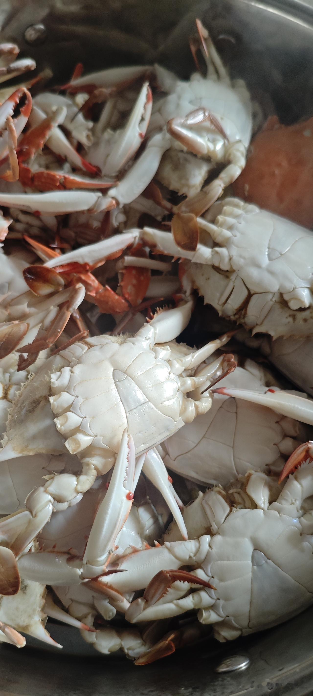 今天买的螃蟹，15元2斤。要不要这么便宜？虽然个头不大，但每一个都是活蹦乱跳的。