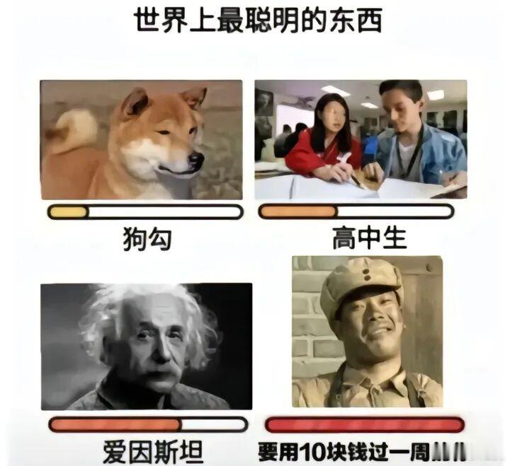 一点了没睡的人在干嘛 