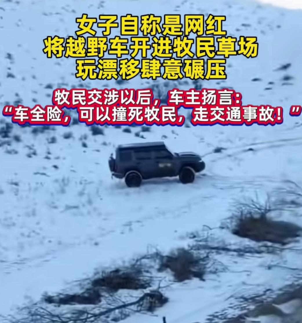 女子开车进牧民草场肆意碾压
当事人账号被扒了个底朝天
自始自终不承认自己有错
