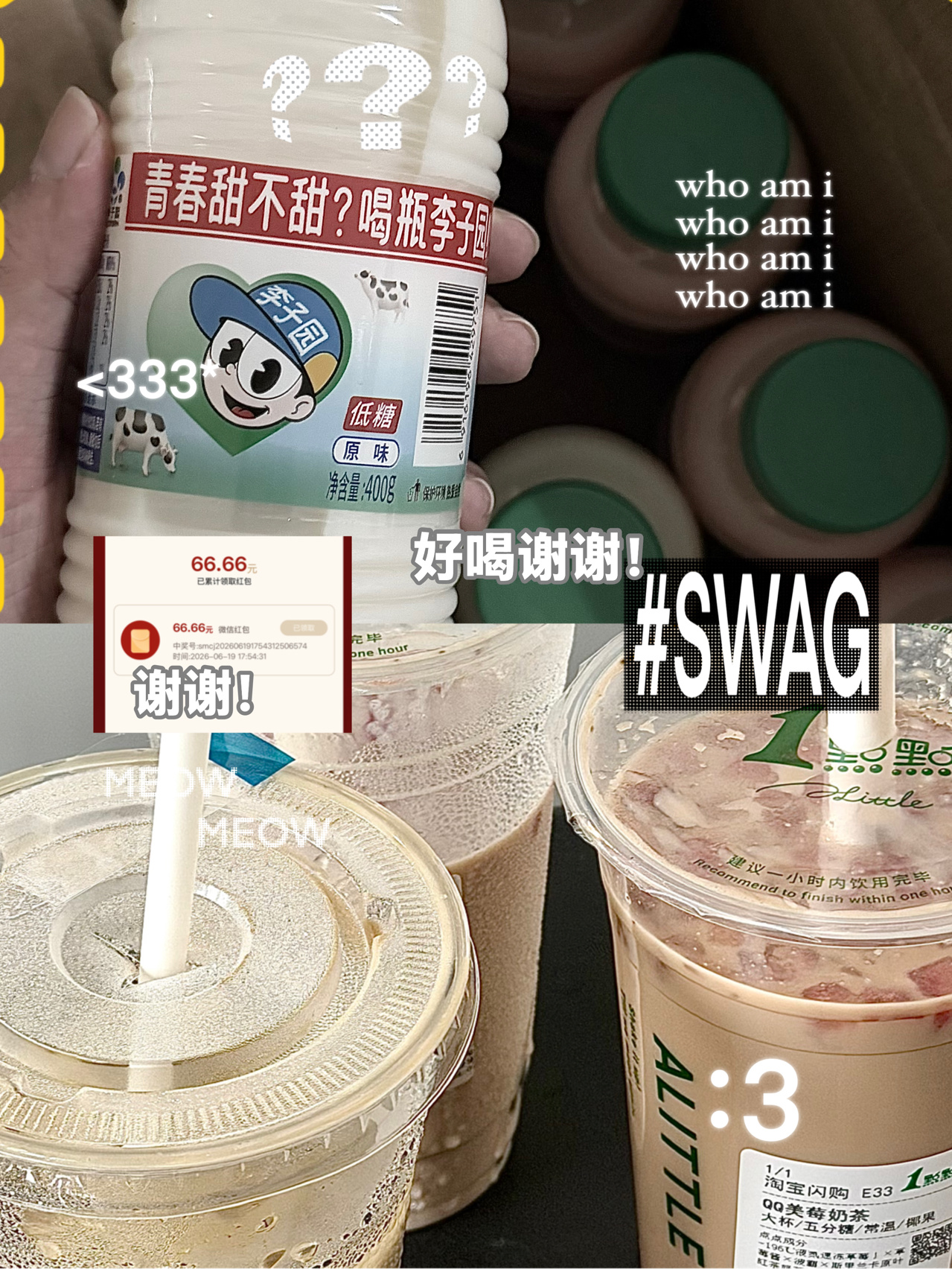 う手写小猫开心六月日志₍˄ ₗ   ̫ ₗ ˄₎੭ﾞ 一条plog告别六月