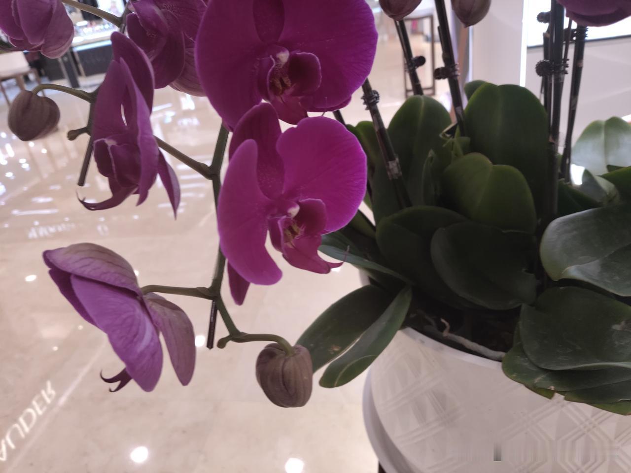 又是崭新的一天
读书
写作
投资
一如既往……