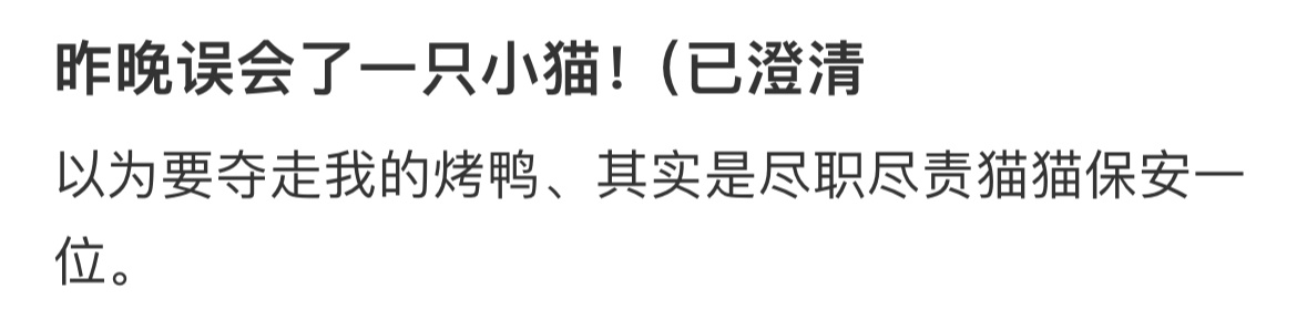 昨晚误会了一只小猫 ​​​