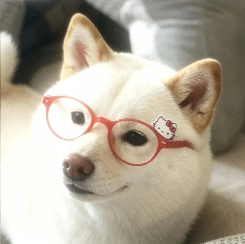 哪个人间小甜豆呀🎀