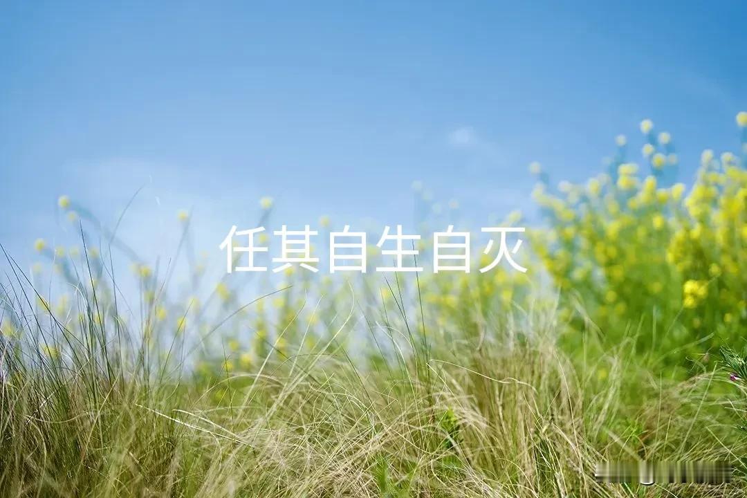 #讨厌一个人要翻脸吗?#不必翻脸。一是尽可能运离。二是刻意冷淡。