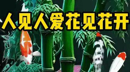 玫瑰花开，那场面谁见了不心动。“人见人爱，花见花开”这话最初好像和周星驰有点渊源