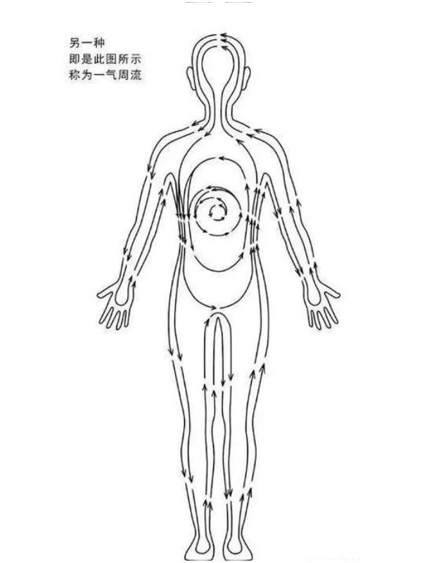 体态调整，越调越乱，身体只关心你能不能活着