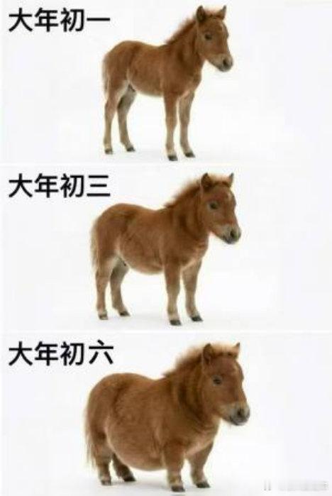 过年的我们太真实了