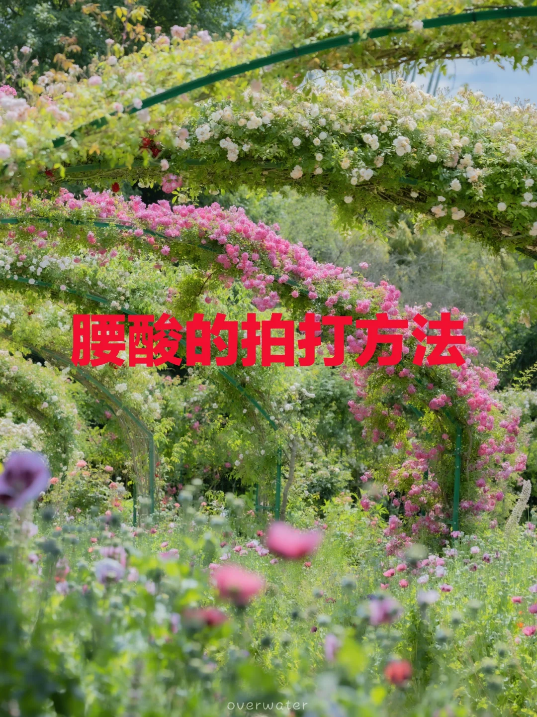 腰酸的，请看过来