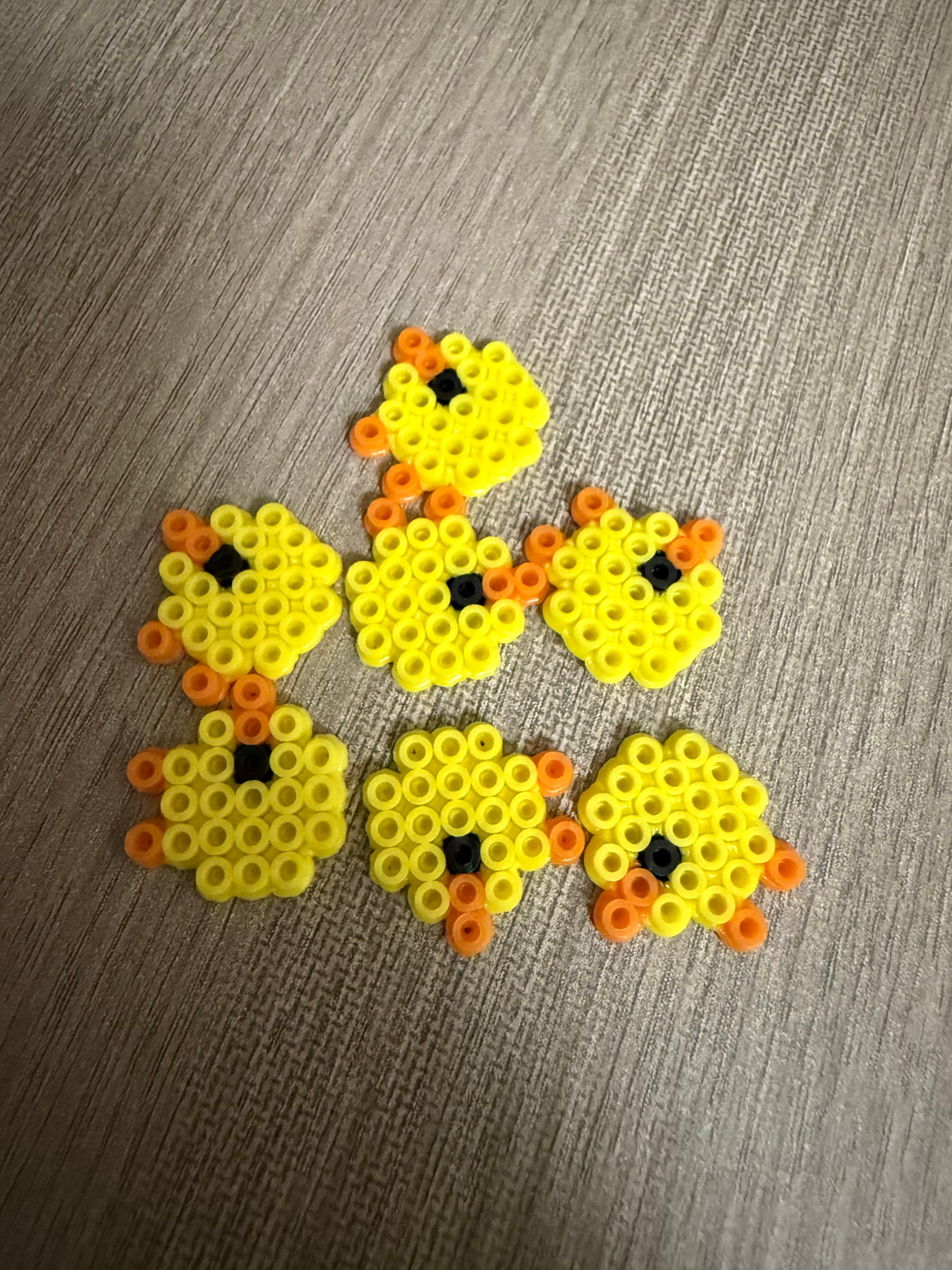 小鸡小鸡🐥 
