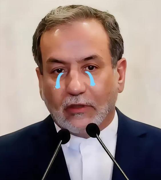 4月18日，一则沉甸甸的消息传来：伊朗烈士和退伍军人事务基金会主席穆萨维正式宣布