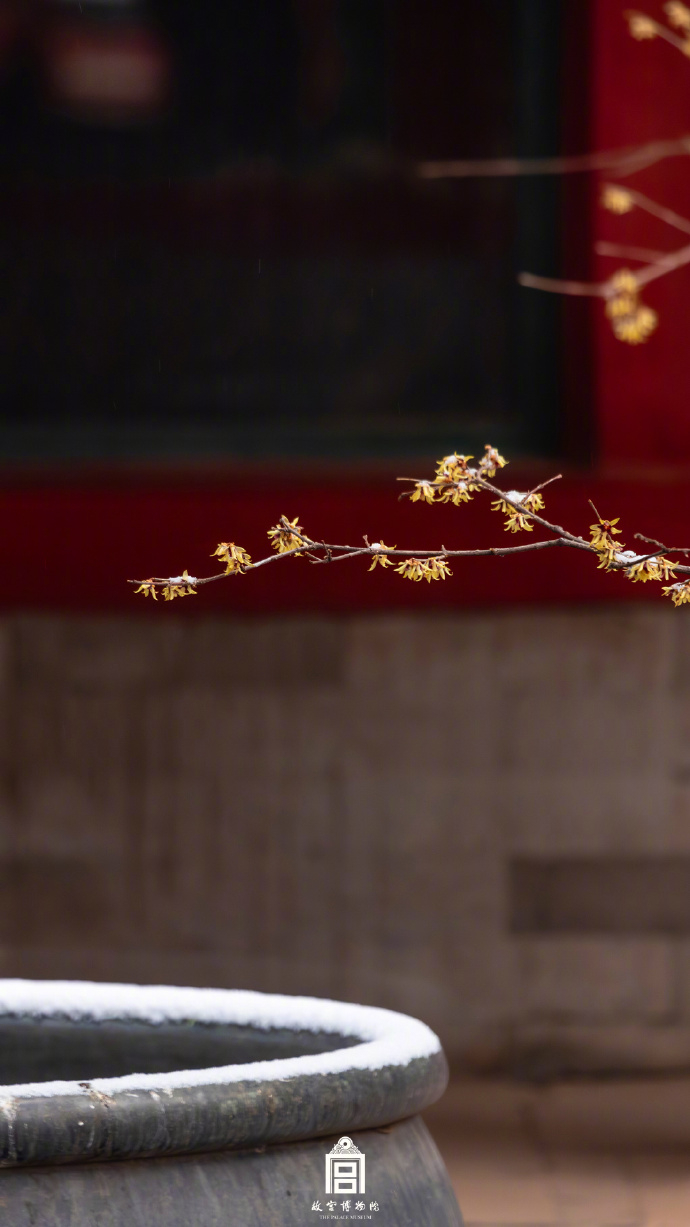 【故宫春雪】春雪可亲，雪景上新啦！