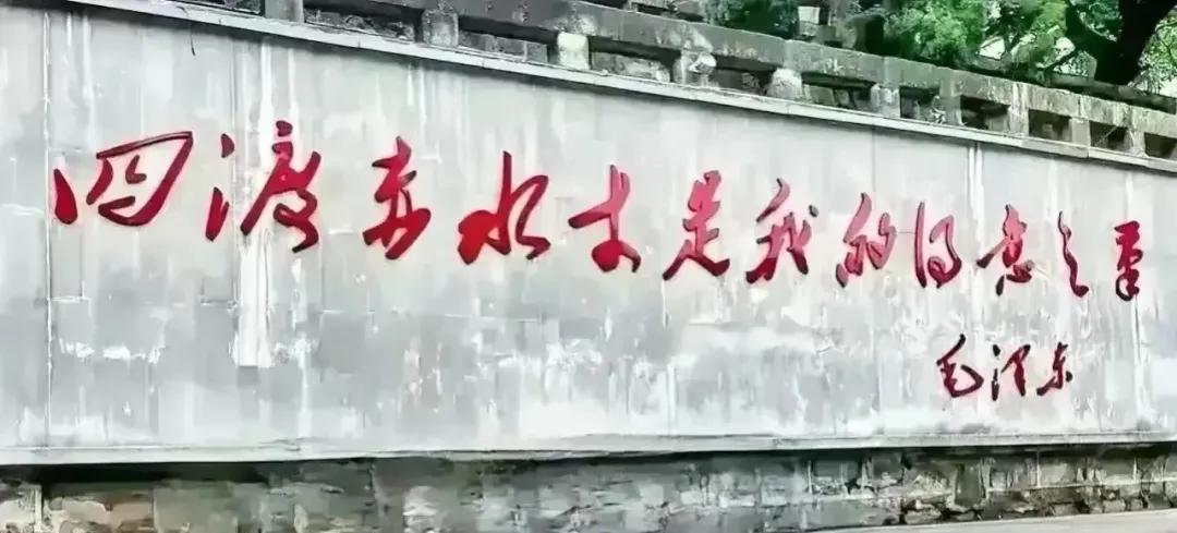 我敢大胆说，要是一眼能认出来墙上这12个字，那就不是一般人。