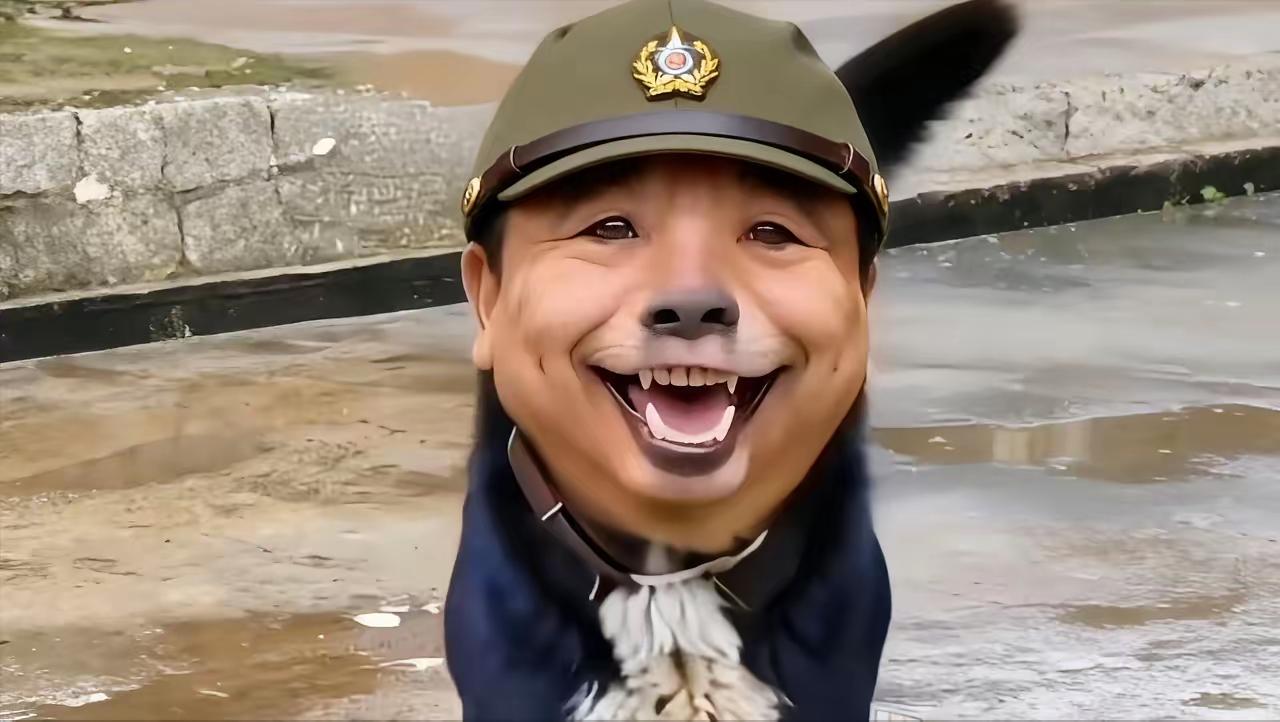 汉奸石平又窜出来恶心人了，大家觉得应该怎么收拾这种数典忘祖的败类？

那个被公认