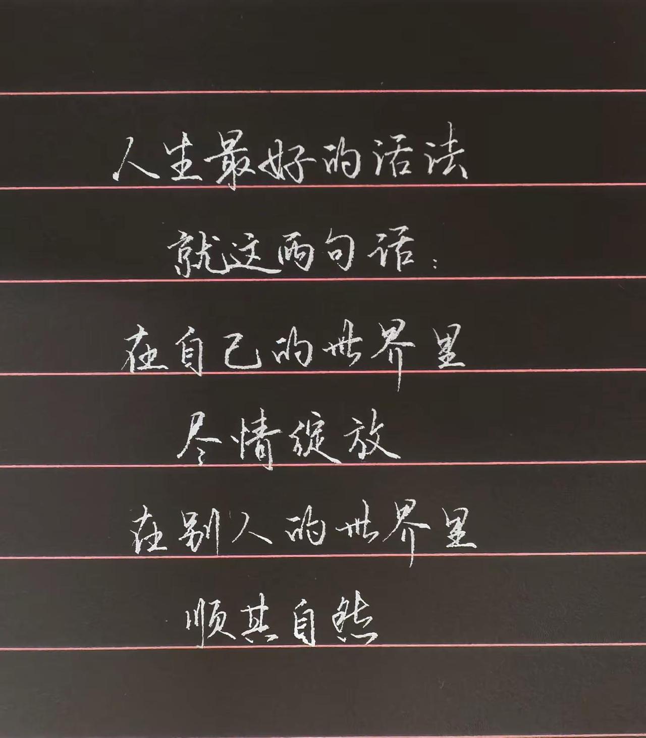 每日书单感悟 手写 人生感悟