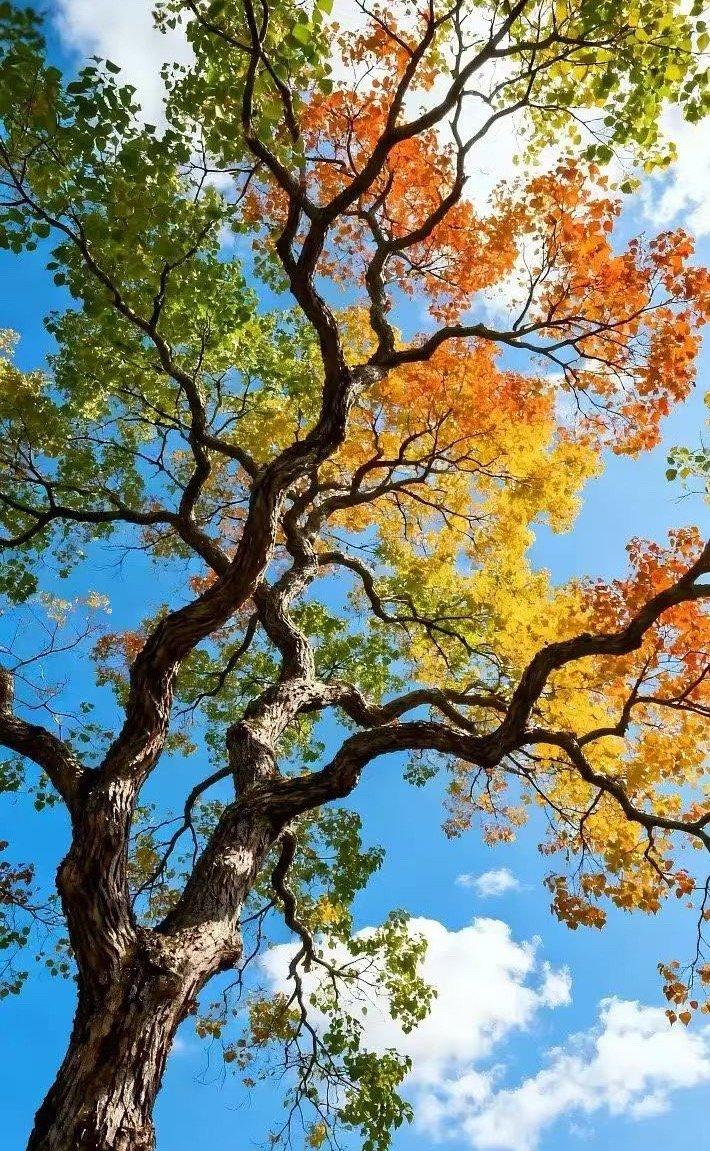 沈阳下雪了又一年要过去了 春去春又来花谢花会开时间是个伟大的敌人 