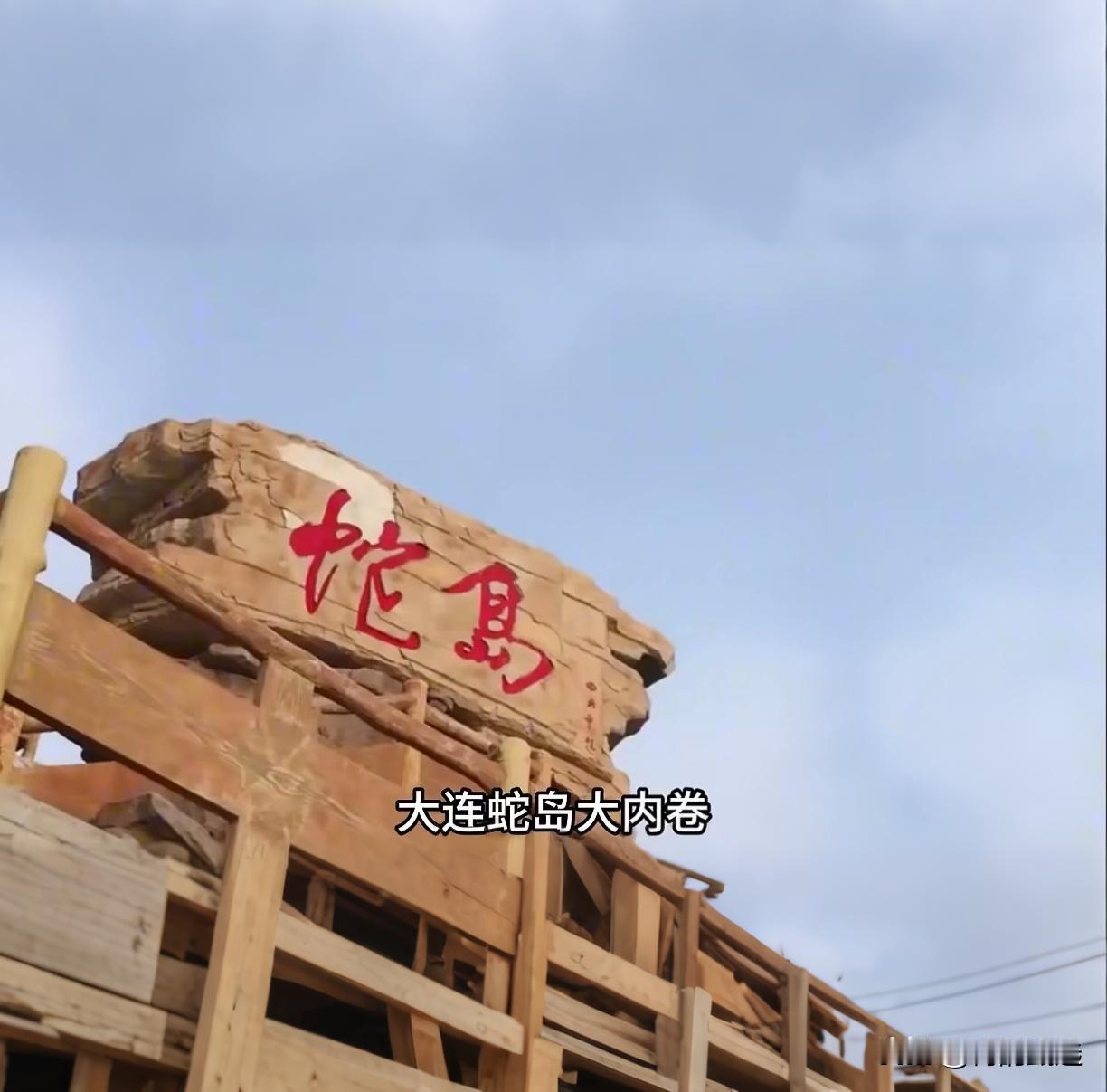颠覆认知！大连蛇岛2万毒蛇被老鼠当“零食”啃

谁能想到，渤海里有个岛，两万多条