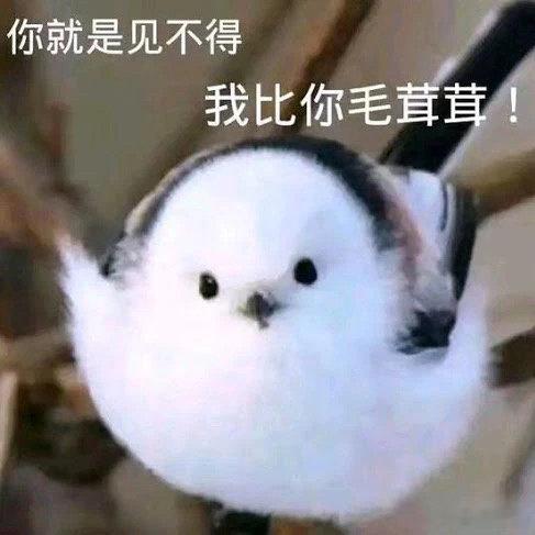 咪的脖子和后背好痛啊无法仰脖儿