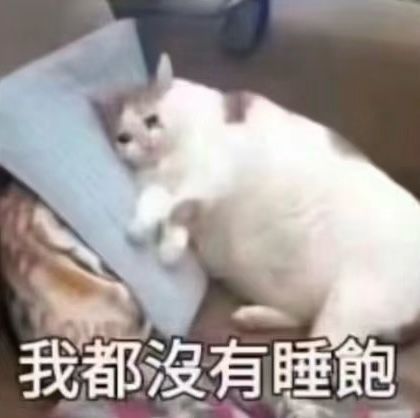 不要问我从哪里来～我的名字叫好困～～我还没有睡饱～～～ 