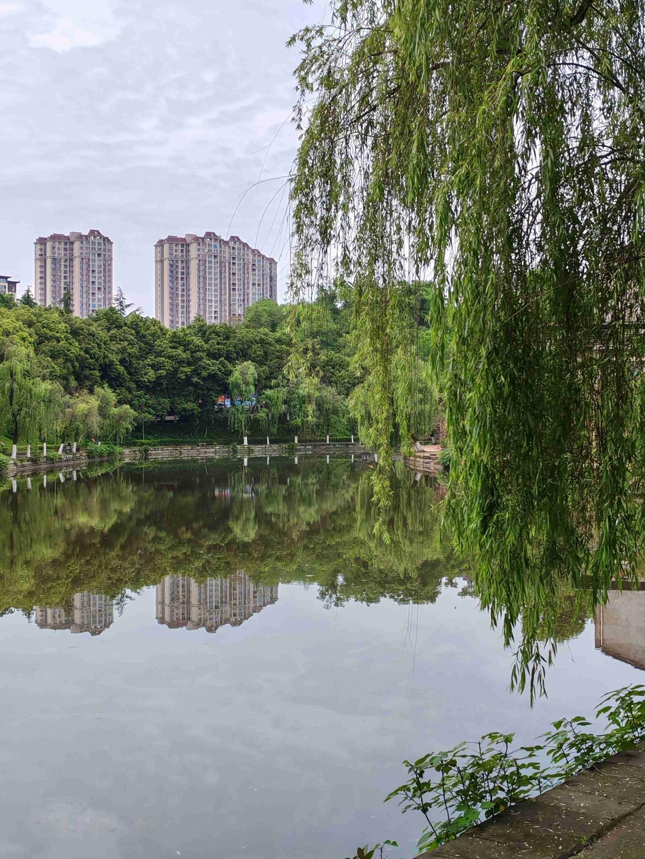 我的今日状态：😁轻松愉快
我这里的天气：☀️晴天
