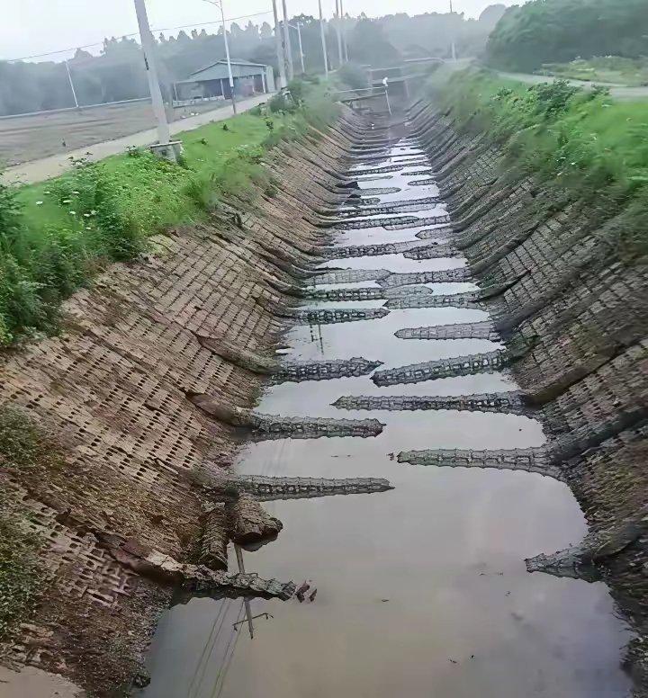 现在才知道为什么茅台这么贵了 ​​​