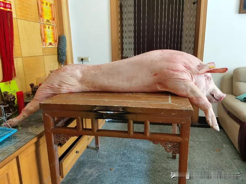 女子网上求助“按年猪”来了几百人 重庆合川女子呆呆网上求助“按年猪”这事太火了！