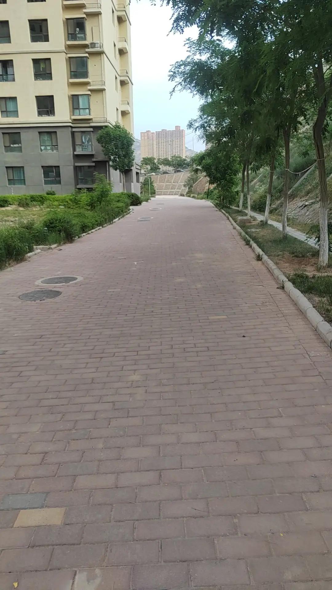 孩子们都去哪里了呀，考试也都结束了，怎么依然见不到他们的身影呢？

进入六月是每